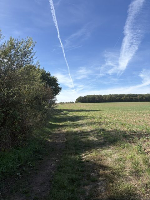 Un chemin de terre bordé d’une haie, ouvrant sur un champ et la lisière d’un bois.